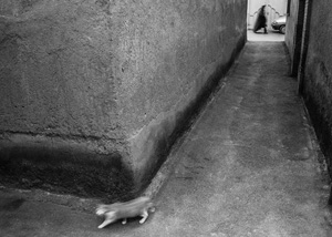 Kamal-ol-Molk Silver Trophy